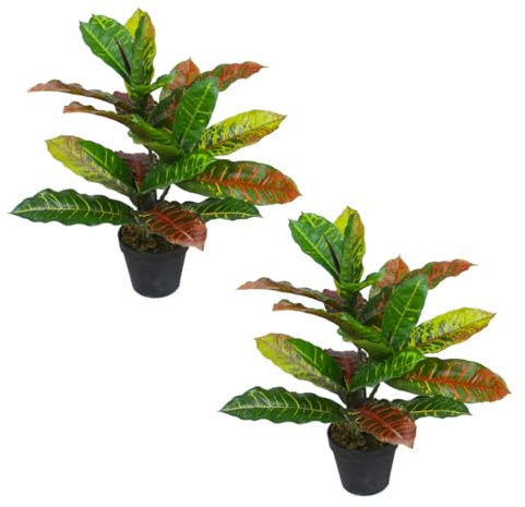 Lacers SMARAGDLINE künstliche Codiaeumpflanze 45cm - 2er Pack - kunstpflanze Künstliche Pflanzen wie echt für Wohnzimmer Schlafzimmer Büro Deko Artificial Plants Balkon Dekoration kunstblumen