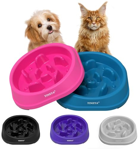 YINEYA 2 cuencos de alimentación lenta para perros pequeños y gatos, cuenco antiasfixia para perros, comedero lento para mascotas