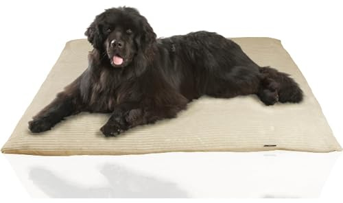 Rohrschneider Weiches Hundebett mit waschbarem Cordbezug XL große Hunde