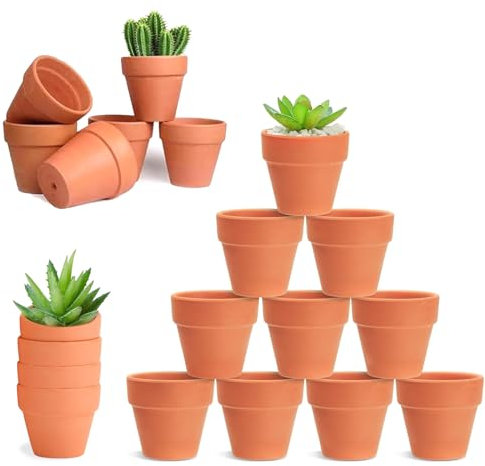 HDKAJL 30 Mini Macetas para Flores de Terracota, con Necesidad de Drenaje, para Casas de Cactus y Suculentes Enteras
