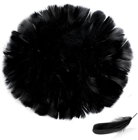 JOFONY 300 Stück Schwarz Deko Federn,Federn Deko,Natürliche Feder,Flaumfedern Bastelfedern für Tischdekoration Zuhause Dekor Halloween Karneval Dekofigur