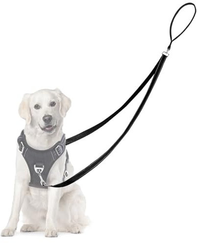Adiwo Anti Zug Hundegeschirr, Keine Verwicklung Reflektierend Doppelleine, für große mittlere Hunde Anti-Zieh Geschirr Hundeleine, Schwarz