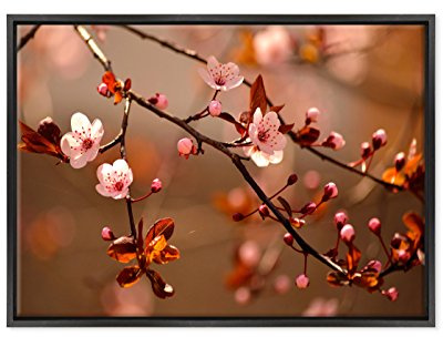 Cuadro sobre lienzo con marco - Árbol cerezo en flor - Japón Sakura - 50 x 70 cm - Estilo moderno negro - (cód. 1782)