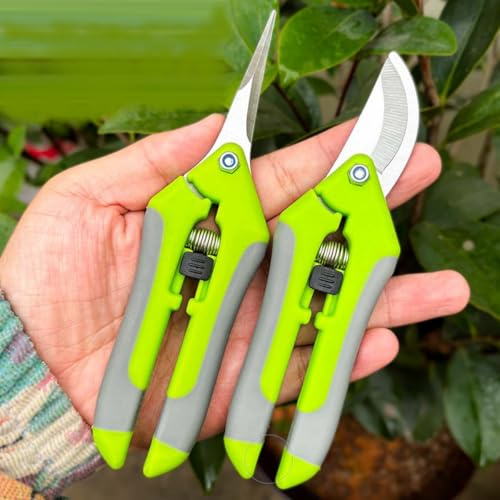 KARLOR 2 Pack Garden Pruning Shears, Straight & Bypass Garden Scissors for Branches Fruit Harvesting, Stainless Steel Blades, Gardening Shears Scissors Hedge Clippers for Gardening (Green)