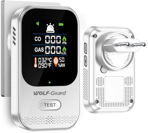 4in1 Kohlenmonoxid Melder Gasmelder mit Stecker 2000mAh Akku Gas CO-Melder | Temperatur- und Feuchtigkeitssensor für Haus, Gasleckmelder CO-Warnmelder für Erdgas LPG Methan Propan Butan FH-Q01