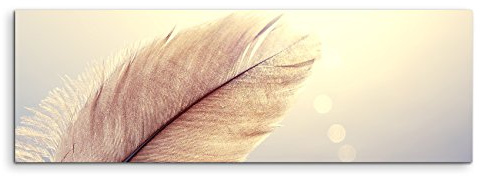 Paul Sinus Art Wandbild 150x50cm Naturfotografie – Feder vor Ombre blauem Grund auf Leinwand für Wohnzimmer, Büro, Schlafzimmer, Ferienwohnung u.v.m. Gestochen scharf in Top Qualität