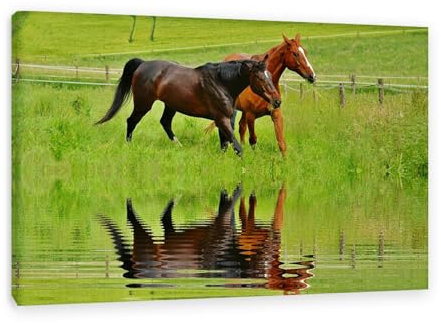 FLUCK Kunstdrucke Pferde Wandbild,Leinwandbild,Zwei Pferde auf grünem Gras am Fluss ,Leinwand Tiere,Wandbilder Dekoration Wohnzimmer80x120cm(31x47in) Innenrahmen