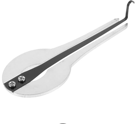 Garneck Ibassenice Professional Jaw Harp - Mouth Harp for Musicians - Traditional Maultrommel Ideal for Folk Music Easy to Play Portable Musical Instrument in Classic Design