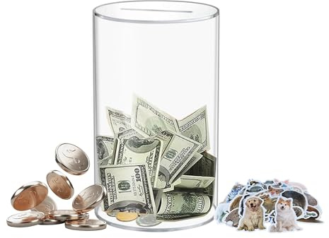 Totola Clear and Unopenable Piggy Bank, Transparent Money Box for Cash Savings, Must-Break-to-Open Acrylic Coin Bank Change Jar for Real Money, Birthday Gifts for Kids & Adults (Cylindricity, Small)