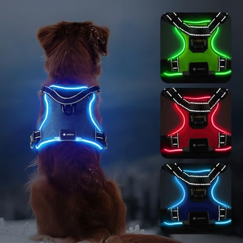 MASBRILL LED-Hundegeschirr, beleuchtet, kein Ziehen, wiederaufladbar für nächtliche Spaziergänge, verstellbare beleuchtete und reflektierende Weste für kleine bis große Hunde