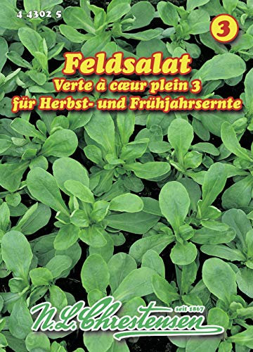 N.L. Chrestensen 443025 Feldsalat Dunkelgrüner vollherziger 3 (Feldsalatsamen)