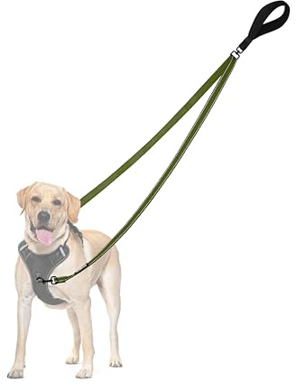 PetBonus No Pull Anti-Zieh Hundeleine, Keine Verwicklung Doppelleine für Anti-Zug Geschirr, Reflektierend Hundeleine zum Trainieren und Gassi gehen für große mittlere Hunde (Khaki Grün)