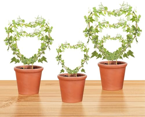 Hoya Trellis 3 Size Indoor Plants Flower Support Stakes Round or Heart Metal Trellis Set Garden Tool Accessories for Small Potted Vine Climbing Houseplants (GoldenH)