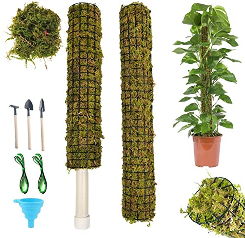 Voiakiu Musgo para Plantas Monstera | Musgo apilable para Plantas Interior,Palos Soporte para Plantas Monstera para Scindapsus, Plantas en Maceta, Plantas trepadoras