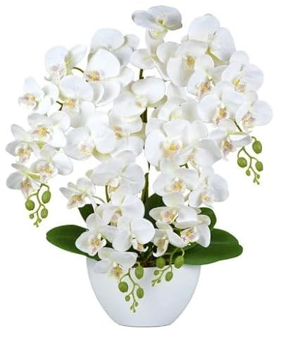 Hochwertige Orchid4ee in Boot-Design - Langlebig und pflegeleicht (Weiß)