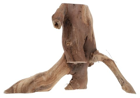 Ciieeo Natural Wood Landscaping Branch Tabletop Base for Decorative Plant Arrangement Sturdy Vine for Climbing Pets DIY Random Style