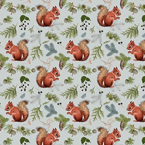 Eichhörnchen Nuss Grau 100x160cm 1 Meter 100% Baumwolle Baumwollstoff Kinder Meterware Handwerken Nähen Stoff