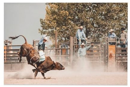 Cowboy-Poster, Motiv: Stier auf Leinwand, Wandkunst, Schlafzimmer-Poster, Wohnzimmer-Dekor, Poster für Zimmer, ästhetisch, Sport, Büro, Zimmer, Wohnheim, Dekoration, Geschenke, Ölgemälde, ungerahmt,