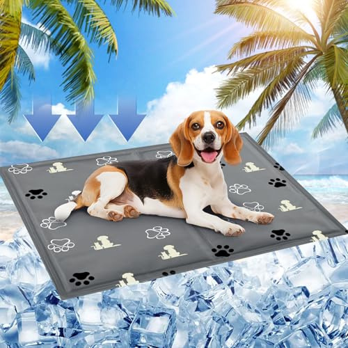 SRJEQC Kühlmatte Hund, 65x50cm Kühlmatte Katze,Kühldecke Hund mit Selbstkühlend Ungiftiges Gel,Kühlmatte für Hunde&Kühldecke Katze Wasserdicht Reißfest,Katzen Kühlmatte Perfekt für Heiße Sommertage