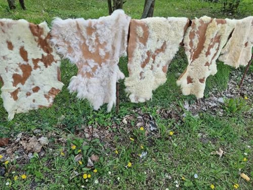 Provellus Véritable peau de mouton/d'agneau/fourrure/cuir double face pour bricoler des affaires (marron, 40 x 40 cm, ronde)