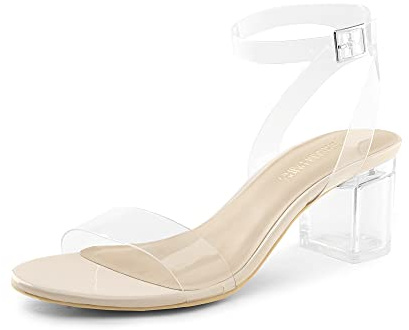 DREAM PAIRS Women's Open Toe Ankle Strap Low Block Chunky Heels Sandals Party Dress Pumps Shoes,Size 8,Nude/Clear,CARNIVAL