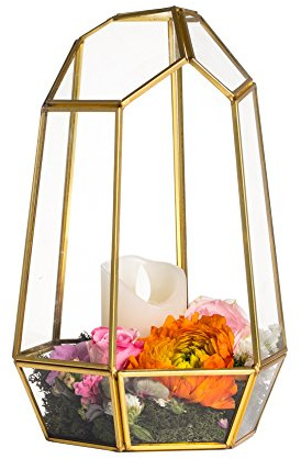 NCYP Goldgeometrischer Terrarium-Pflanzgefäß aus Glas,25 cm Unregelmäßiger Messing-Blumentopf für Sukkulenten,Farne, Moos,Heimdekoration,Tafelaufsatz für Hochzeit (Keine Pflanzen und Keine Tür) | Unregelmäßiges Terrarium-Pflanzgefäß – kleines dekoratives Display, Mittelstück – 16,5 x 14,5 x 24,8 cm (ohne Pflanzen)