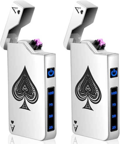 2 STK USB Elektronische Feuerzeug, Electric USB Lighter Lichtbogen mit LED Dual Lichtbogen, Batterieanzeige, Winddicht Plasma Feuerzeug per Knopfdruck Auslösen (Silber)