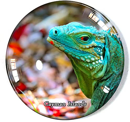 Cayman Islands Kühlschrankmagnet Kühlschrank Gefrierschrank Magnet Souvenir Dekoration Magnet Aufkleber Glas Handwerk