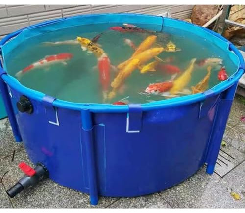 Rygcrud Pool Above Ground Round Canvas Fish Pond, Flexible PVC Liner with Frame For Baptism Pool, Holding Tank, Large Capacity Aquatic Rescue Shelter(1x1 m)