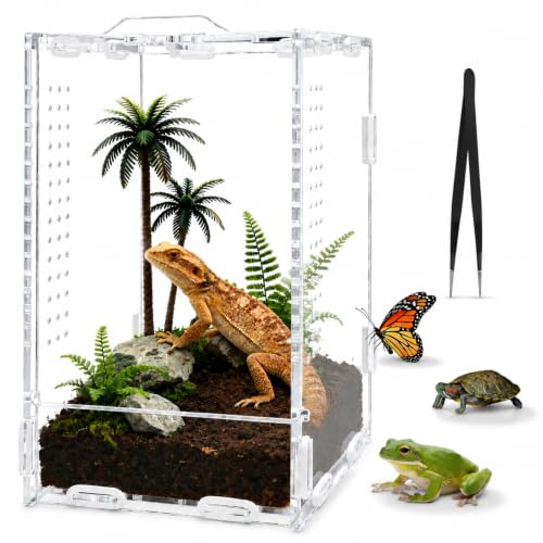 KOUHA Terrario de Reptiles Caja de Alimentación Terrario Acrílico con Pinzas Caja Transparente Portátil para Fauna de Reptiles para Arañas Lagartos Escarabajos Ranas Serpientes Geckos y Camaleones