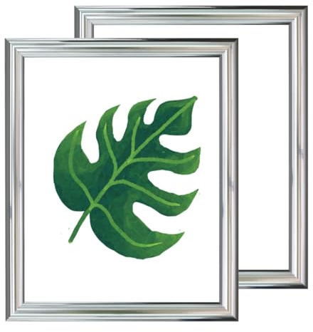 RAABEC Bilderrahmen 40x50cm Farbe Chrom (40x50cm Doppelpack ohne Glas) | Dekorativer Bilderrahmen ohne Glas, ideal für Malen nach Zahlen Bilder, auch für Ölbilder und Acrylbilder geeignet