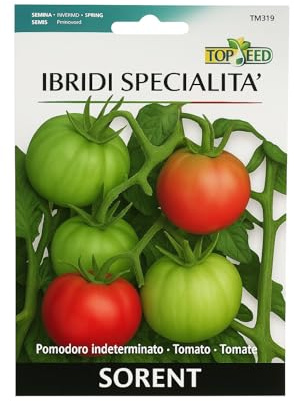 300 Semi di Pomodoro Sorrento – Ibrido Indeterminato Made in Italy – TOP SEED – Coltivazione Invernale e Primaverile