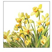 Ambiente Napkins Golden Daffodils Daffodils 25 x 25 cm
