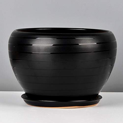 Europäischer Export Weiß Matt Blumentopf Keramik Minimalistischer Stil Kreativer Grüner Ruhm Groß Mit Tablett Grünpflanzen-Sämaschine Geeignet Für Desktop-Boden (Color : Black, Size : 25.5 * 17cm)