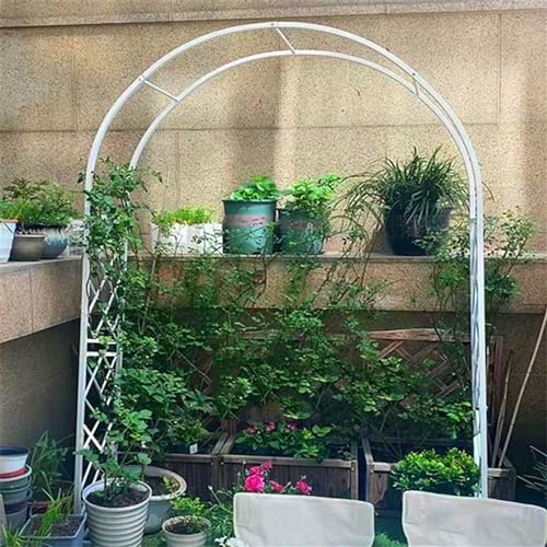 Treillis en métal durable de 2,4 m, parfait pour plantes grimpantes, roses et vignes, pergola d'extérieur pour mariages, fêtes et décorations (blanc)