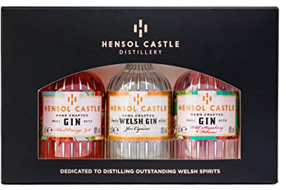Hensol Castle Distillery Miniature Gin Gift Set | 3 x 5cl Mini Premium Gins, Try our Award Winning Welsh London Dry Gin, Blood Orange Zest Gin and Pink Wild Strawberry & Hibiscus Flavoured Gin Set