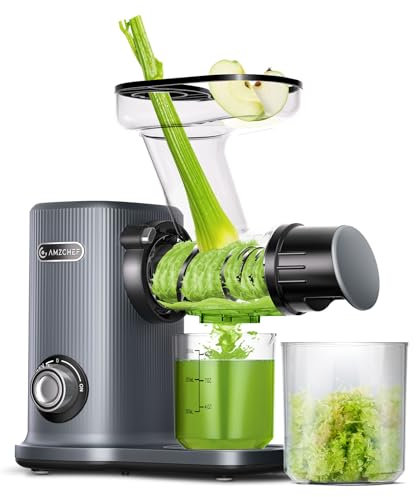 AMZCHEF Juicer Compacto Con Dos Modos De Alimentación Para Uun Uso Fácil - Extractor De Zumos Y Verduras De Alta Tecnología Con Masticación Inversa Y Un Rendimiento De Zumo Ultra Alto - Gris