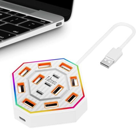 Station d'accueil,Hub USB 13 Ports pour Ordinateur Portable - Accessoires RGB pour Espace de Travail,pour Maison Bibliothèque Appartement Étudiant École