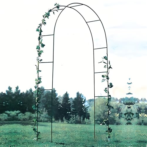 Générique Arche de Jardin en Acier, Arceau à rosiers Mariage, Noire Treillis Espalier, Pergola pour Plantes et Fleurs grimpantes, Tonnelle décorative(L 300x H 220cm)