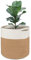 Tenn Well Pot de Fleurs 30 cm pour Plantes d'Intérieur avec Doublure, Panier de Rangement en Coton Tissé Grand Pots pour Plantes d'Intérieur, Décoration de la Maison (Blanc Marron)
