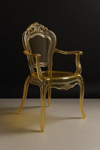 Biscottini Stühle aus Polycarbonat – Stuhl mit Armlehnen, Küche, Wohnzimmer, 53 x 49 x 97,5 cm – Barock-Stühle Esszimmer Schlafzimmer – Sessel aus Kunststoff für den Außenbereich, modern, Hochzeit