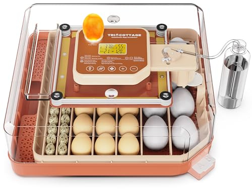 Brutautomat Vollautomatisch 48 Eier mit Automatische Feuchtigkeitsregelung | Inkubator Hühner, Automatische Temperaturregelung, Eierwende, Bruttage Anzeige und Schierlicht für Huhn, Ente, Gans, Wachtel