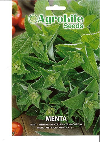 SEMI SEMENTI DI MENTA IN BUSTINA