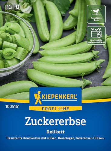 Kiepenkerl Profi-Line Zuckererbsensamen Delikett 1005161 - Gemüsesamen für eine resistente Erbse mit fadenlosen Hülsen und einem Inhalt für 6 bis 8 lfd. Meter - Saatgut