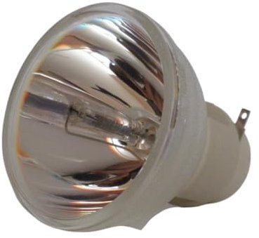 ZEHYDDM REPLACEMENT PROJECTOR LAMP/BULB FOR CANONLV-WX300ST LV-WX300ST/LV-WX300/LV-WX310ST/LV-WX320 Projector Parts