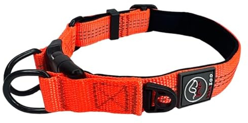 Lalazoo RICO Hundehalsband – Verstellbar Gepolstert Reflektierend mit Doppeltem D-Ring – Weich & Robust – Komfortables Hunde Halsband für Kleine Mittlere & Große Hunde – Orange, XL