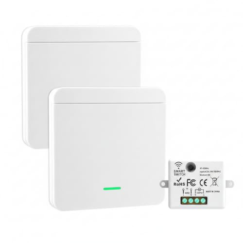 Interruptor Inalambrico 220V 433MHz, Kit Interruptores de Luz 2 Interruptores y 1 Receptor, Interruptor Inteligente Inalambrico sin Cableado para Lámparas, Interruptor Inteligente WiFi Sans Fil 433MHz