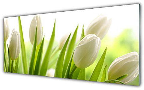 Tulup Acrylic Glass Print 125x50cm Wall Art - Wall Picture Plastic Acrylic Glass - Tulips Floral