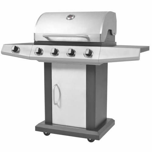 vidaXL Gril Barbecue à gaz Argent Acier Inoxydable, Équipement de Barbecue et cuiseur de Jardin, Grill Moderne avec Roues verrouillables, Station culinaire pour Repas