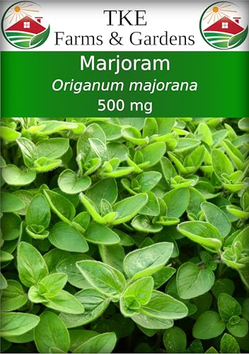 TKE Farms & Gardens - Marjoram Seeds for Planting, 500 Mg, 2000 Heirloom Seeds, Non-GMO, Packet Includes Instructions for Growing, Origanum majorana, Qty 1